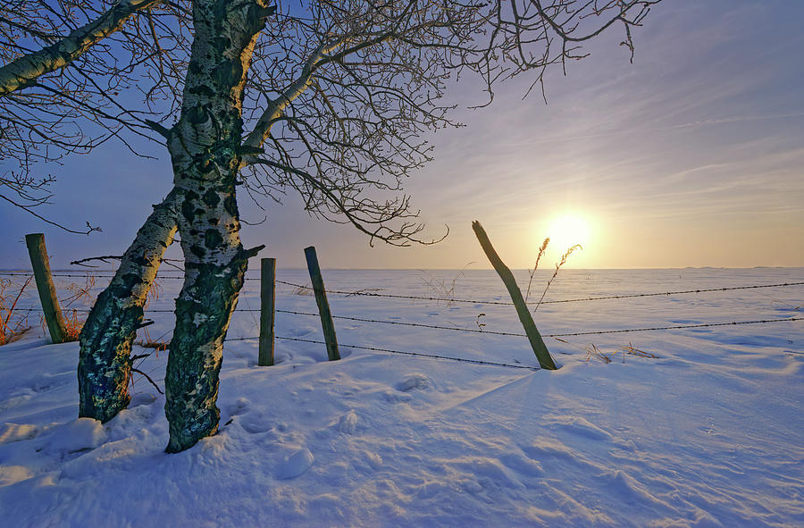 The Last Days of Winter Photograph by Dan Jurak Pixels