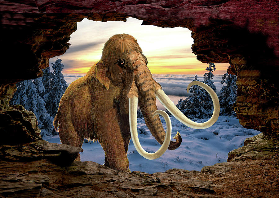 The Last Mammoth Digital Art by Glenn Holbrook