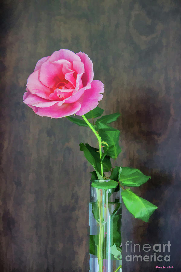 The Last One Rose Photograph by Roberta Byram