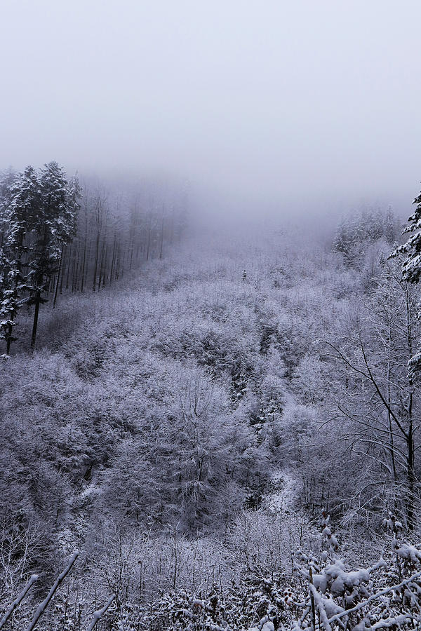 The last remnants of the snow cover, together with the impenetrable fog, create a wonderful mystical atmosphere. Freak of winter nature. Haze is coming down from mountain to valley Photograph by Vaclav Sonnek