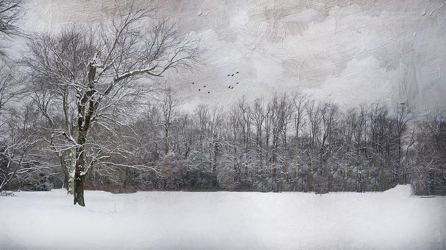 The Last Snowfall Photograph by John Rivera