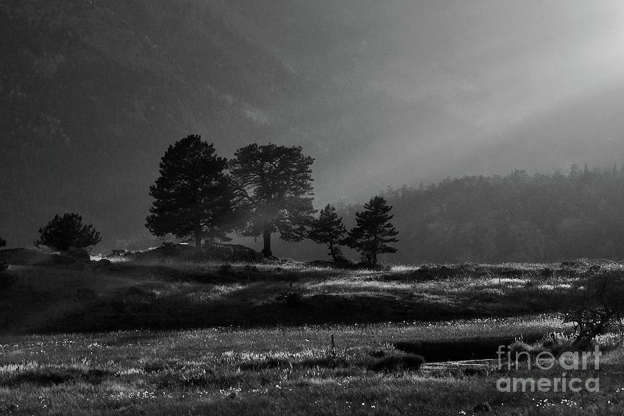 The Last Sunbeams - Meadow Photograph by Elisabeth Derichs