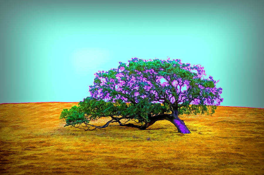 Landscape Photograph - The Last Tree by Barbara Snyder