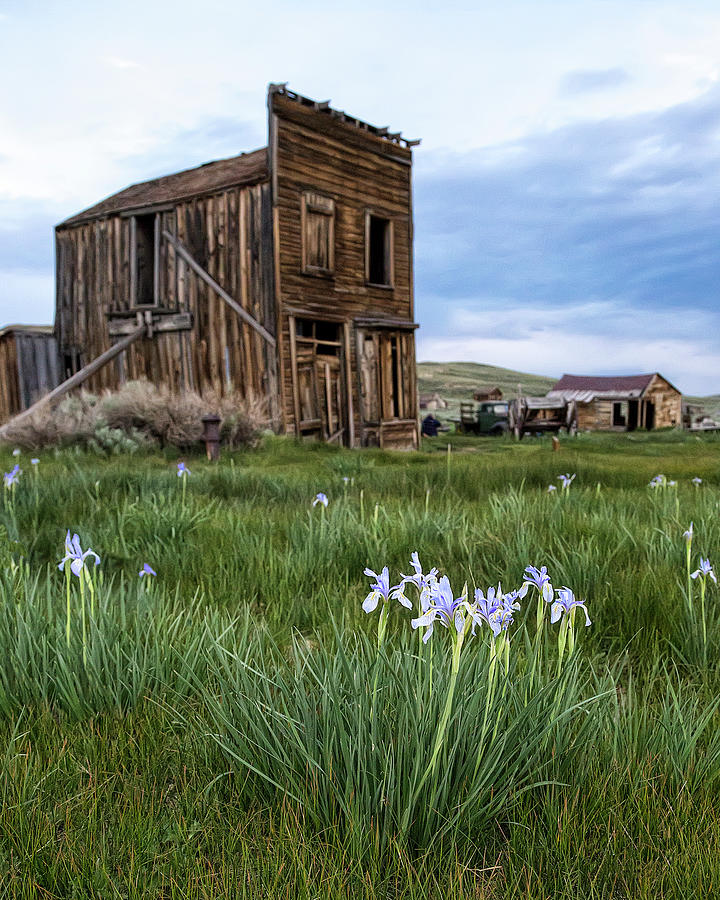 The Leaning Swasey Hotel in Bodie  Photograph by Cheryl Strahl