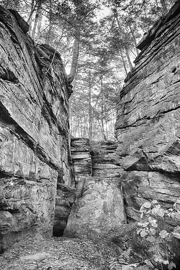 The Ledges In BW Photograph by Linda Goodman Fine Art America