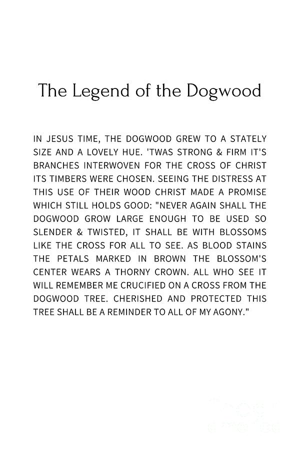 The Legend Of The Dogwood 8 Photograph by Andrea Anderegg