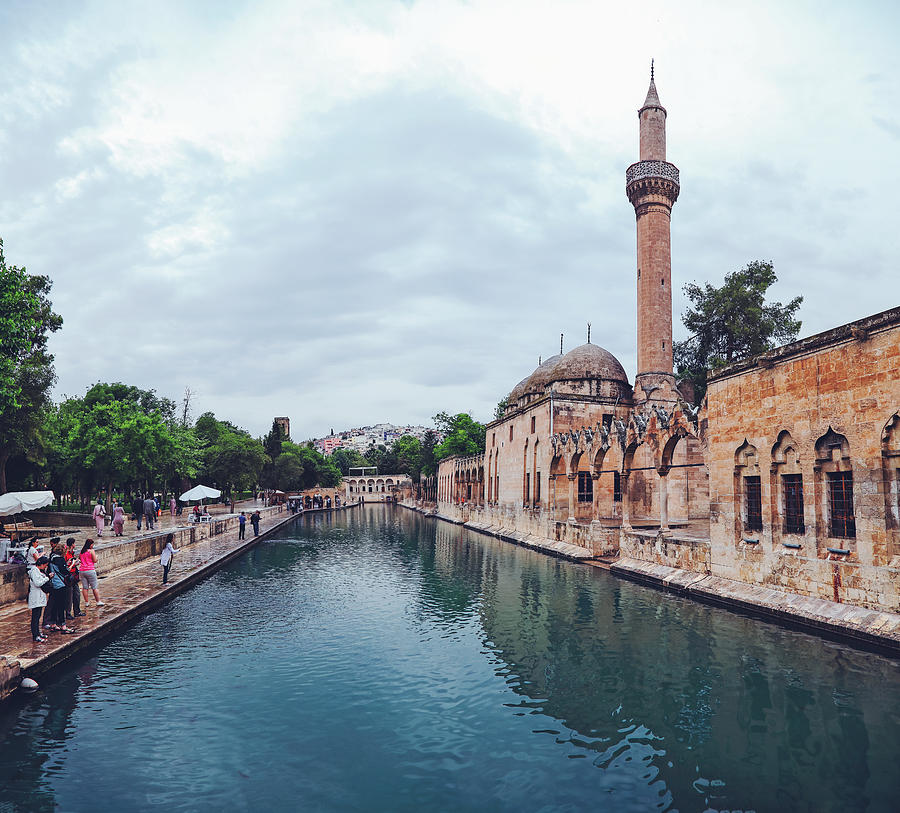 The legendary Pool of Sacred Fish with Rizvaniye Mosque, Sanliurfa, Turkey Photograph by Petekarici