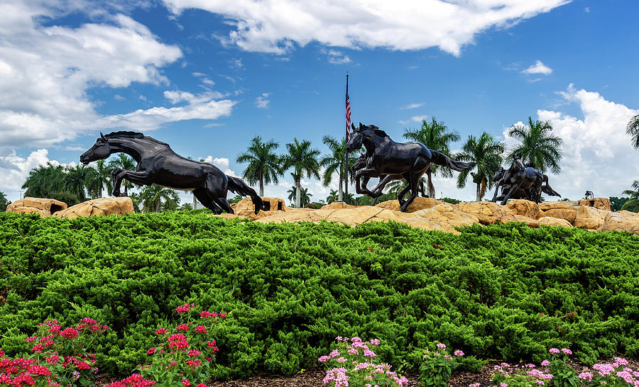 The Lely Freedom Horses Photograph By Mike Suter - Pixels