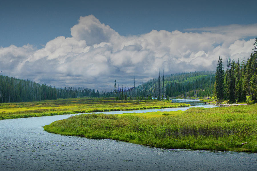 The Lewis River in Yellowstone National Park  Photograph by Randall Nyhof