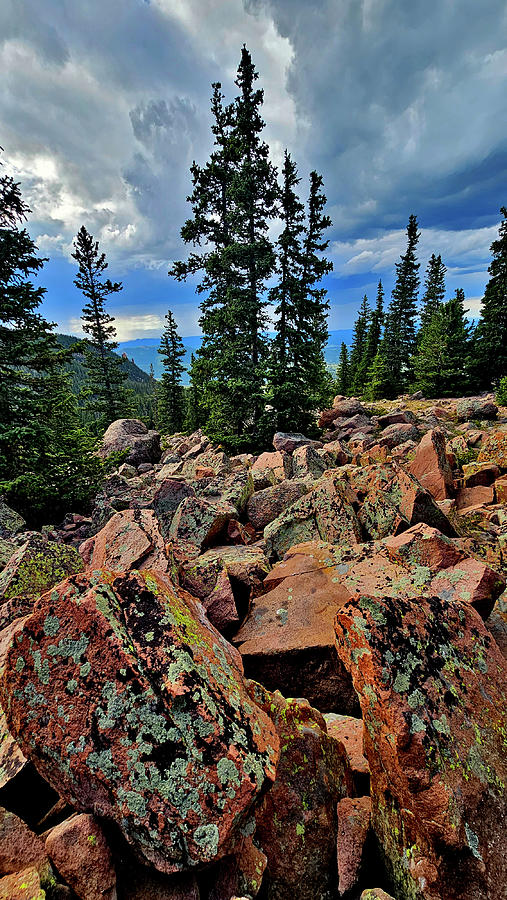 The Lichens along Pikes Peak Highway Photograph by Ray Mathis The Lichens along Pikes Peak Highway Photograph by Ray Mathis