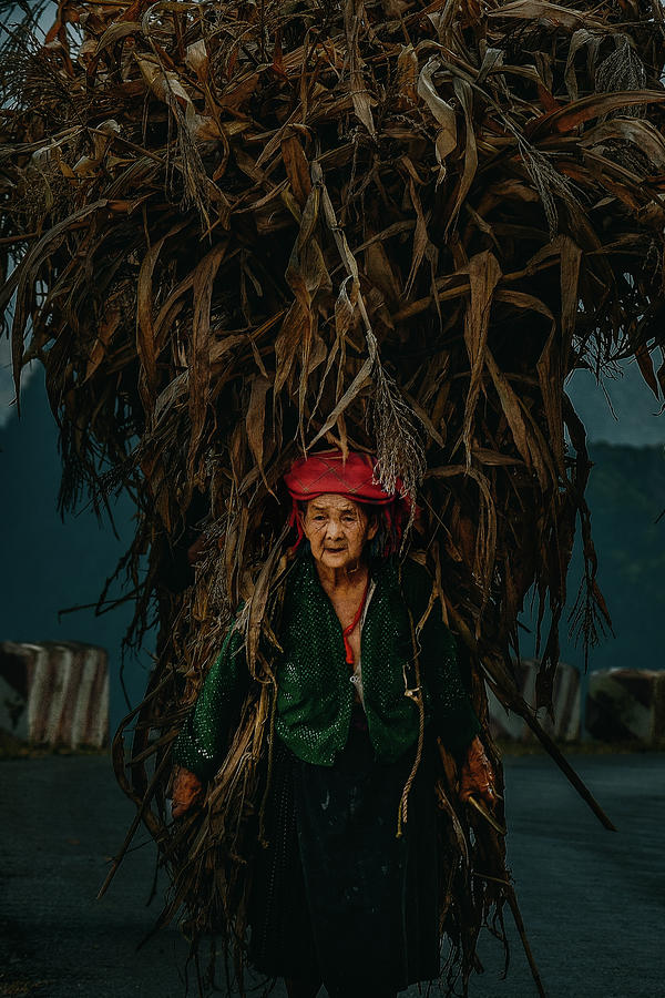 The Life Of Women On The Highland Photograph by Khanh Bui Phu