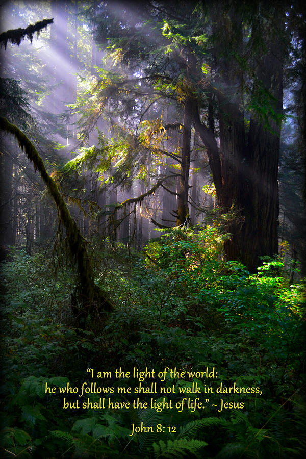 The Light Of Life - Scripture Photograph by Glenn McCarthy Art and Photography