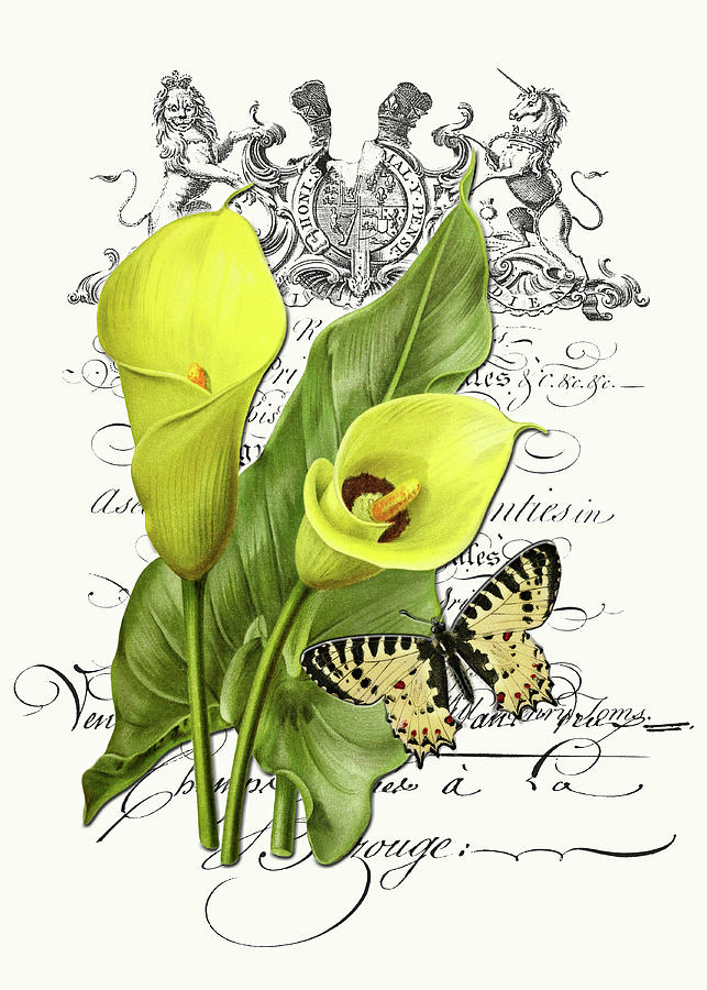 Two Lilies And The Butterfly Digital Art by HH Photography of Florida