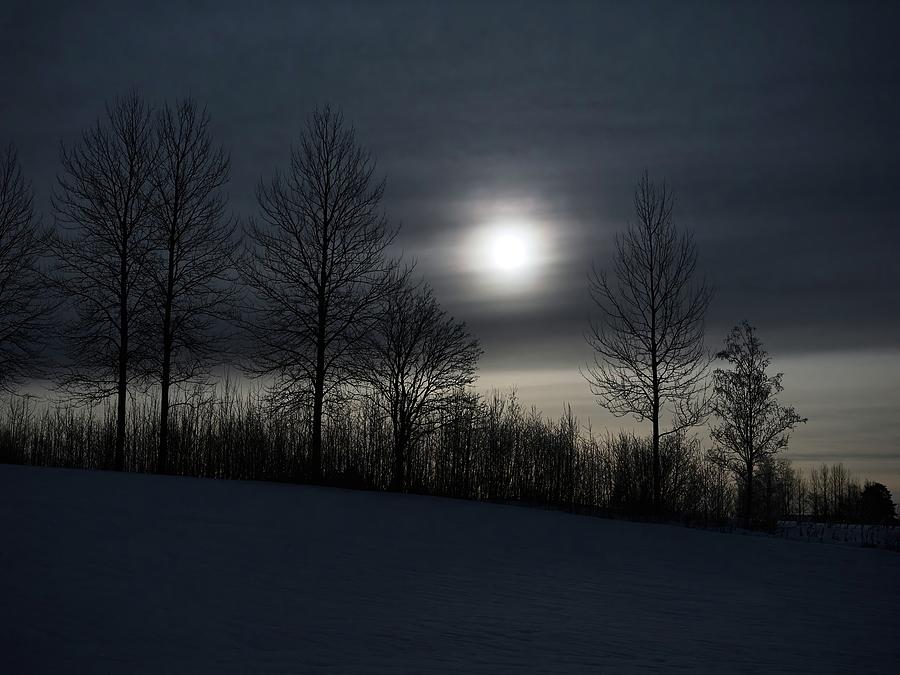 Nature Photograph - The lines. Full moon at Parkkuu January 2024. by Jouko Lehto