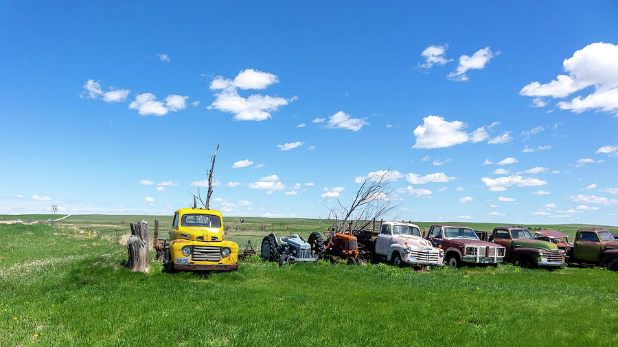 The LineUp Junked Cars Photograph by Cathy Anderson