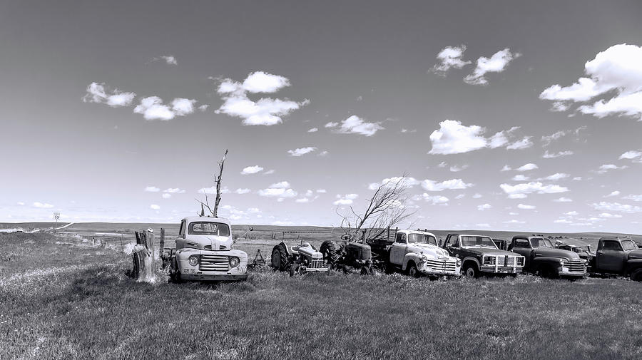 The LineUP South Dakota  Photograph by Cathy Anderson