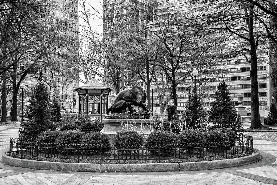 The Lion at Rittenhouse Square in Black and White Photograph by Bill ...