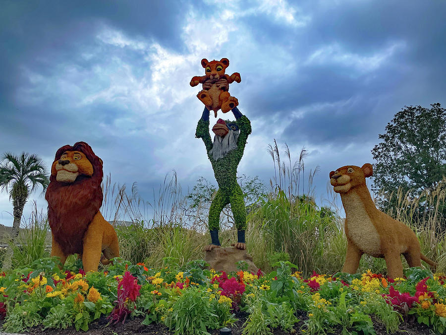 Disney Photograph - The Lion King by John Black
