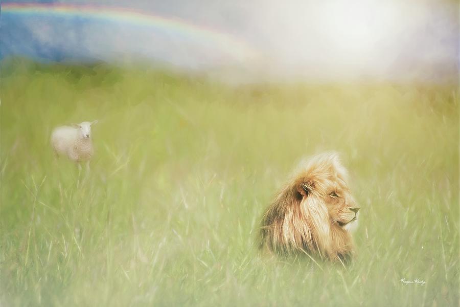 The Lion, The Lamb, and Rainbow Photograph by Marjorie Whitley