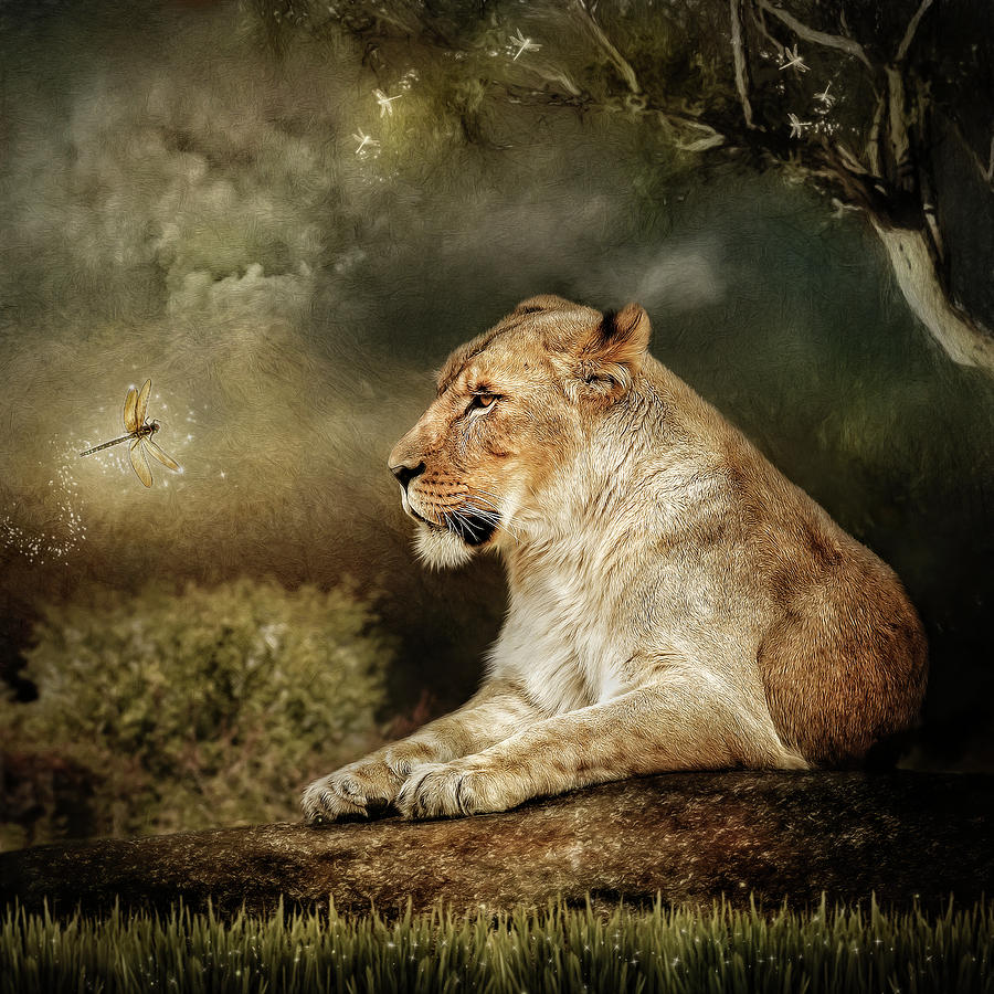 The Lioness Digital Art by Maggy Pease