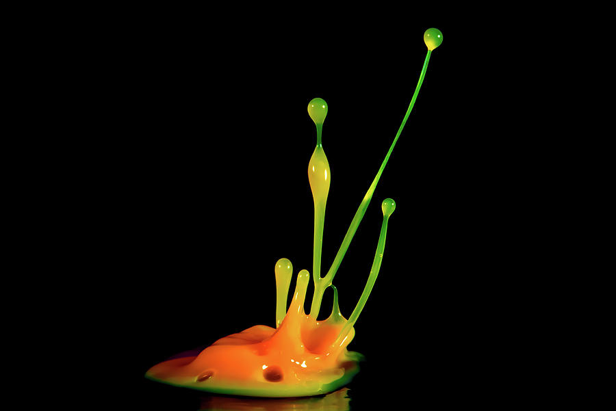 The Liquid Slug Photograph by Anthony Sacco