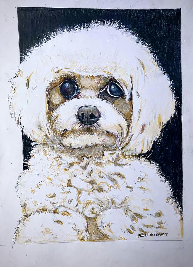 The little dog Drawing by Tim Ernst