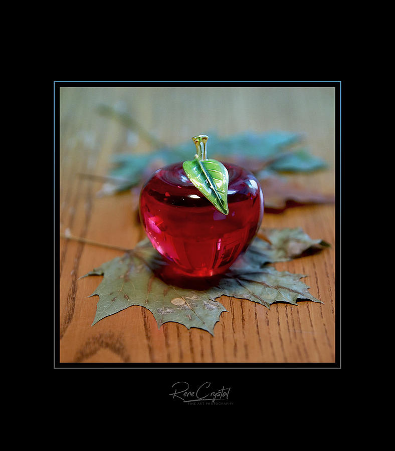 The Little Glass Apple That Was Photograph by Rene Crystal