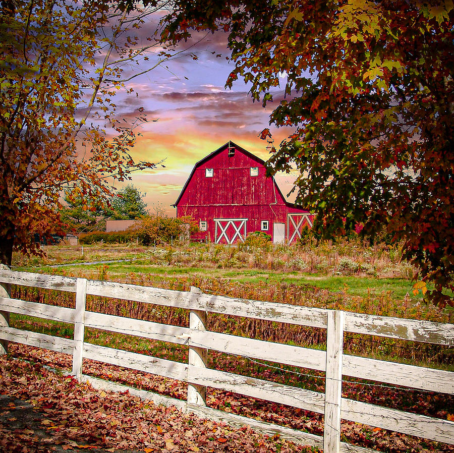 The Little Red Barn Photograph by Lisa Lambert-Shank