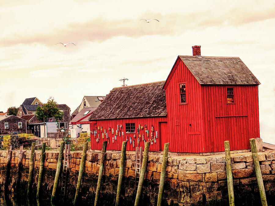 The Little Red Shack-Motif #1 Photograph by Rebecca Grzenda | Pixels