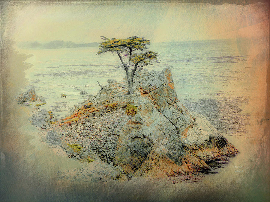 The Lone Cypress Digital Art by Reese Lewis