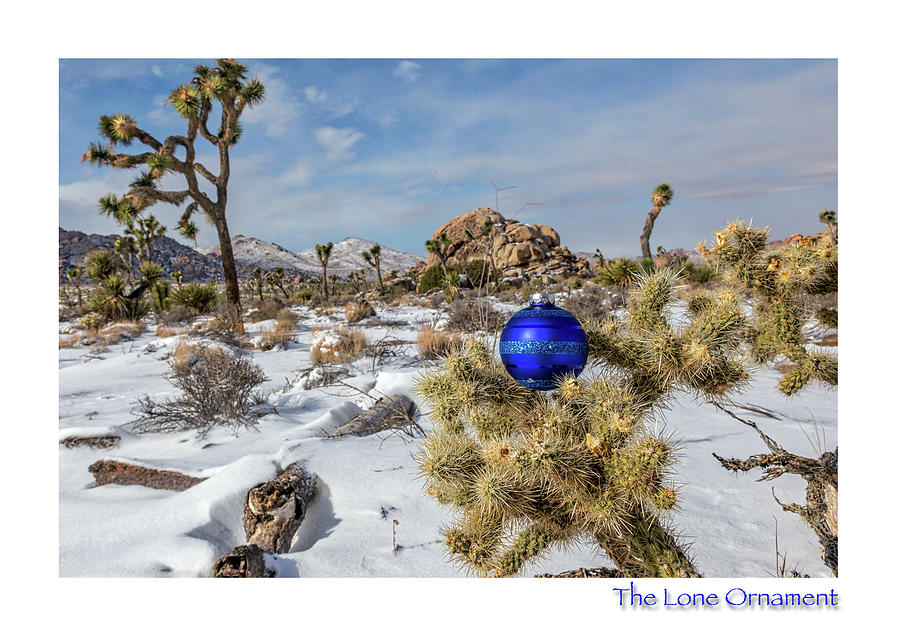 The Lone Irnament Edition 9 Photograph by Peter Tellone