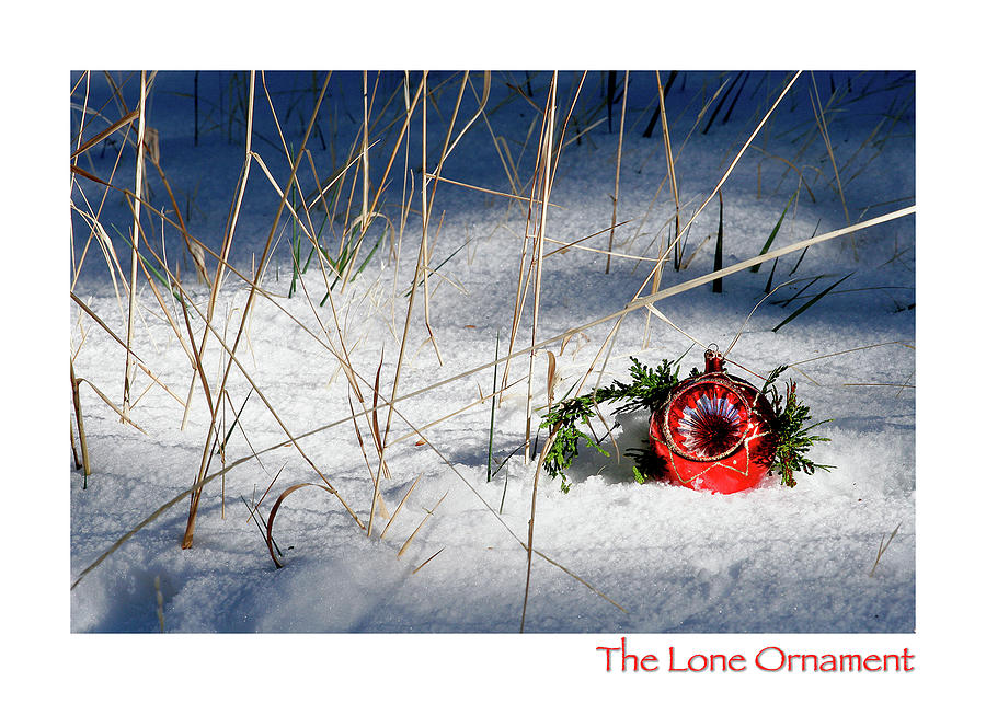 The Lone Ornament Edition 1 Photograph by Peter Tellone