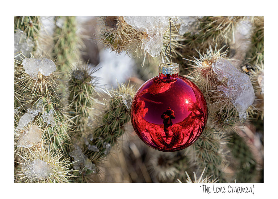 The Lone Ornament Edition 15 Photograph by Peter Tellone