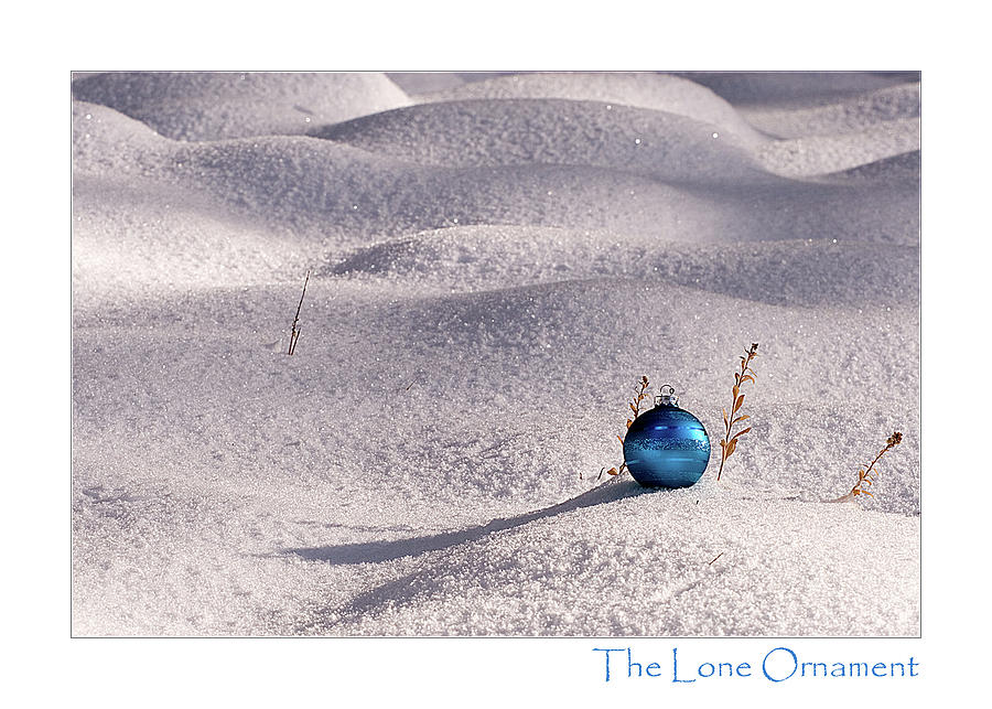 The Lone Ornament Edition 2 Photograph by Peter Tellone