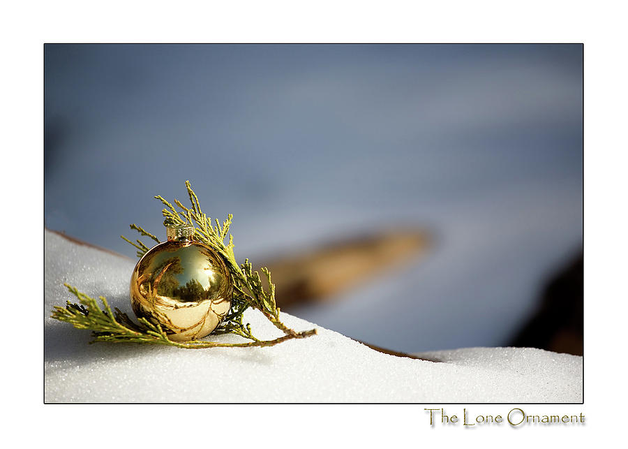 The Lone Ornament Edition 4 Photograph by Peter Tellone