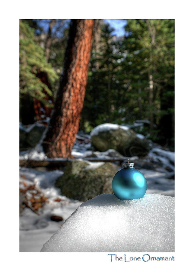The Lone Ornament Edition 5 Photograph by Peter Tellone
