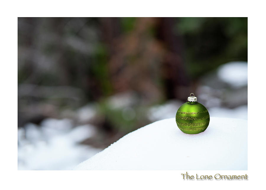 The Lone Ornament Edition 7 Photograph by Peter Tellone
