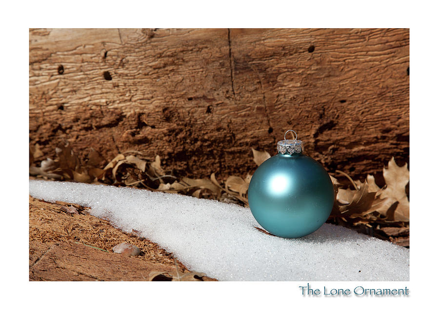 The Lone Ornament Edition  8 Photograph by Peter Tellone