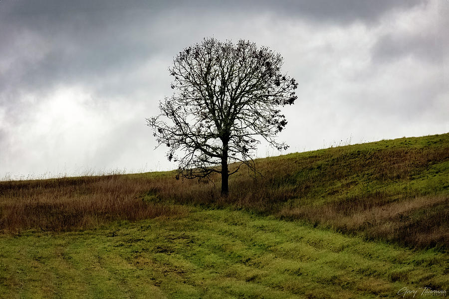 The Loneliest Number Photograph by Gary Thurman - Fine Art America