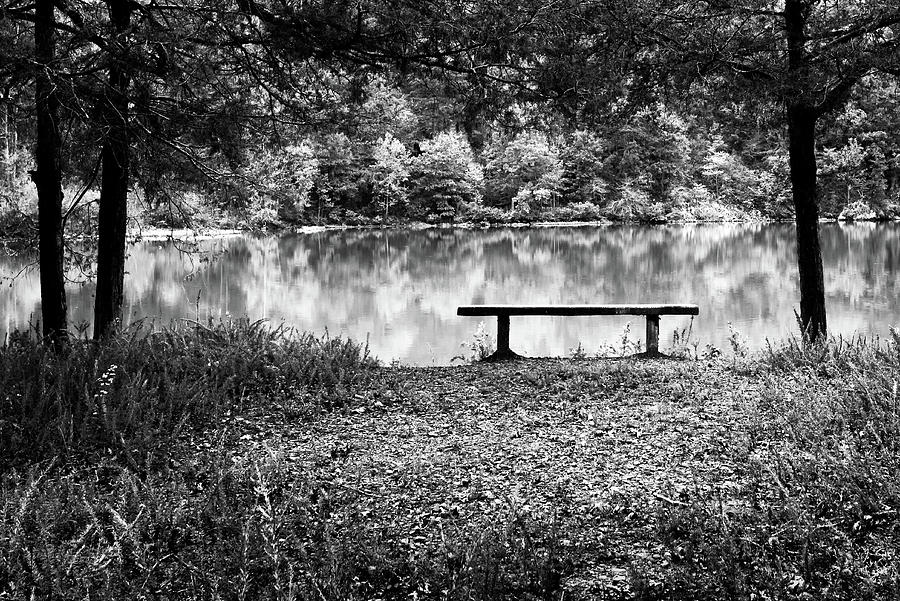 The Lonely Bench Photograph by James Barber