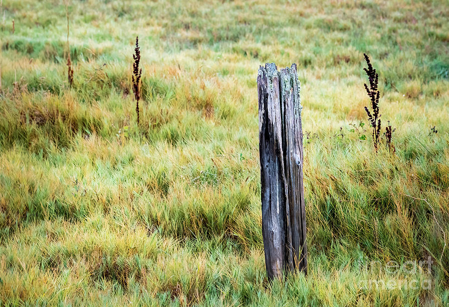 The Lonely Fence Post Photograph by M G Whittingham