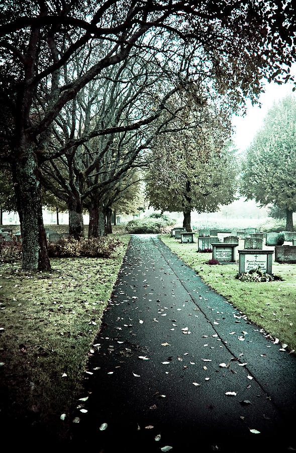 Cemetery Photograph - The Lonely Road by Maggie Terlecki