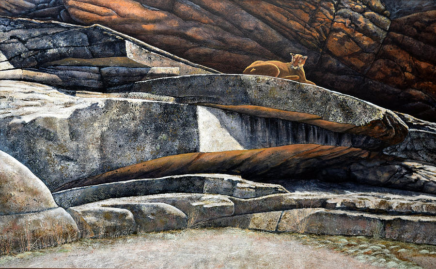 The Loner Cougar Painting by Frank Wilson