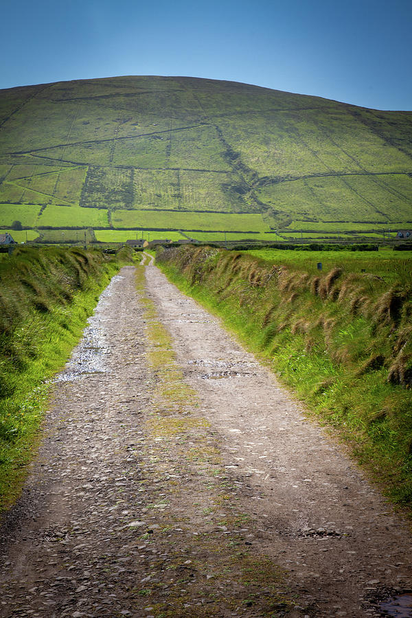 The Long and Winding Road Photograph by Mark Callanan