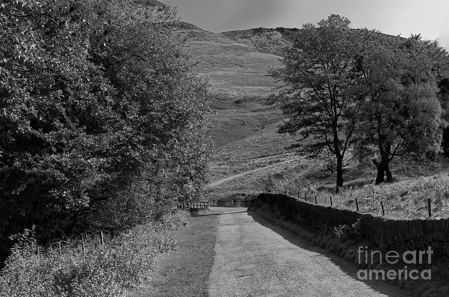 The long and winding road, monochrome Photograph by Pics By Tony