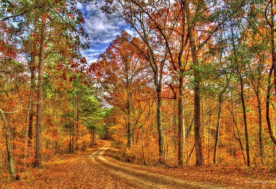 Lake Oconee GA The Long and Winding Road Oconee National Forest Road Georgia Forestry Landscape Art Photograph by Reid Callaway
