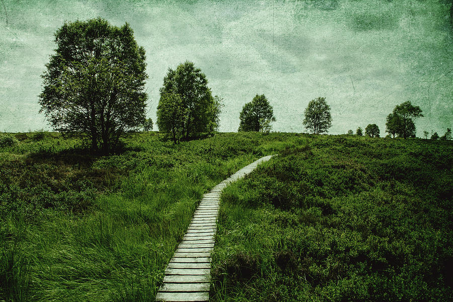 The long path Photograph by Yasmina Baggili