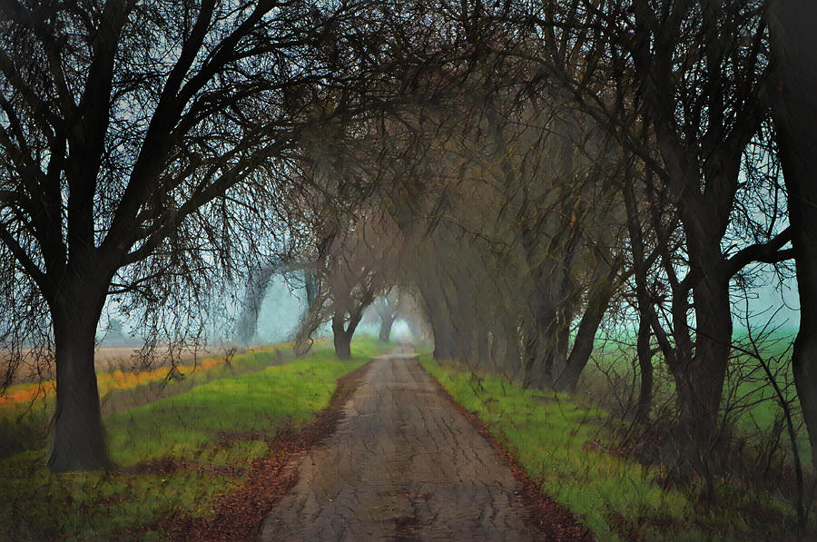 The Long Road Leads to the Light Photograph by Marilyn MacCrakin