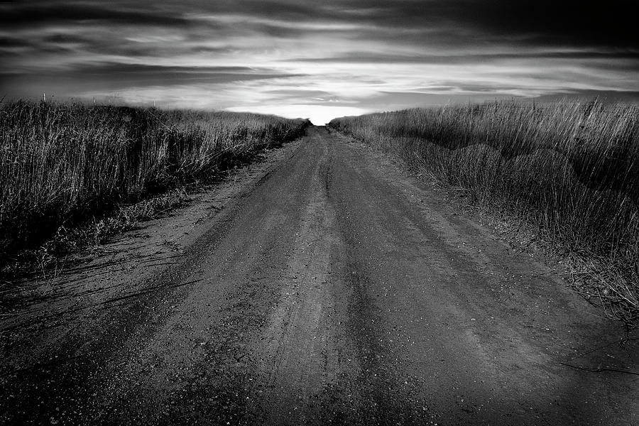 The Long Walk Home Photograph by Michael Ciskowski