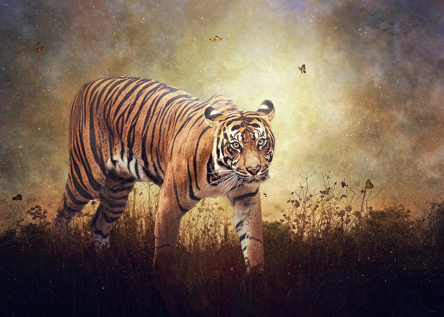 Tiger Digital Art - The Look by Nicole Wilde
